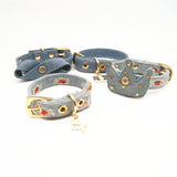 Pet collar